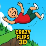 Play Crazy Flips 3D now!