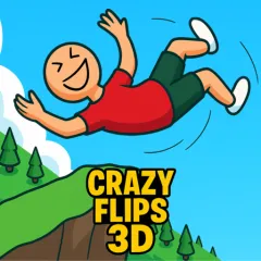 Play Game Crazy Flips 3D