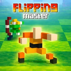Flipping Master