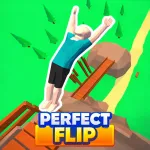 Play Perfect Flip now!