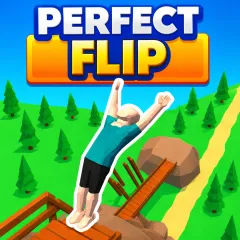 Perfect Flip