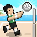 Play Volley Random now!